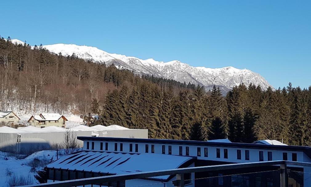 Studio Mountain View Sinaia Exterior foto