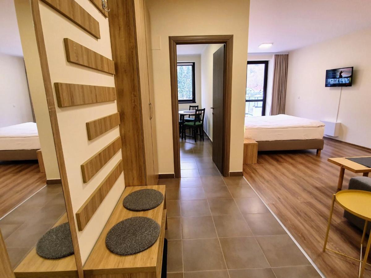Studio Mountain View Sinaia Exterior foto