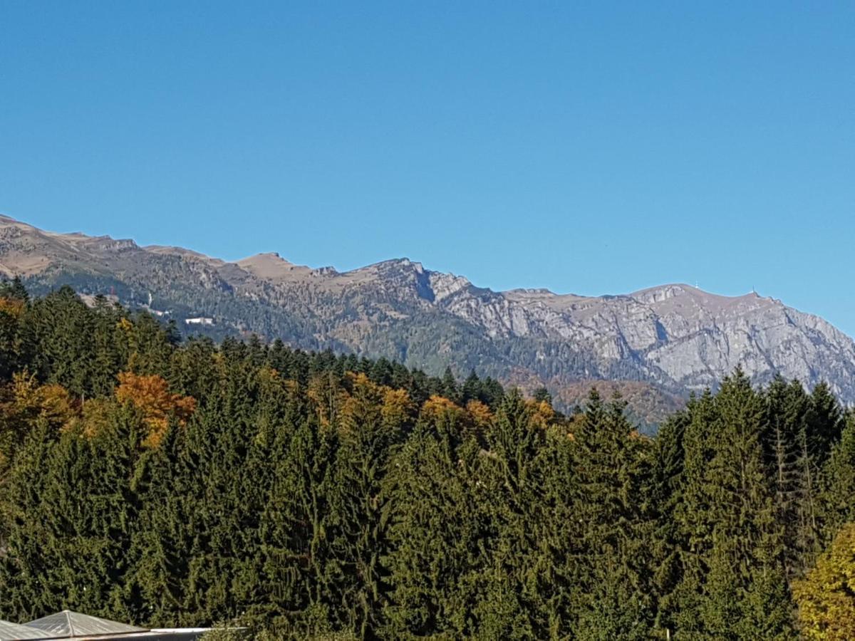 Studio Mountain View Sinaia Exterior foto